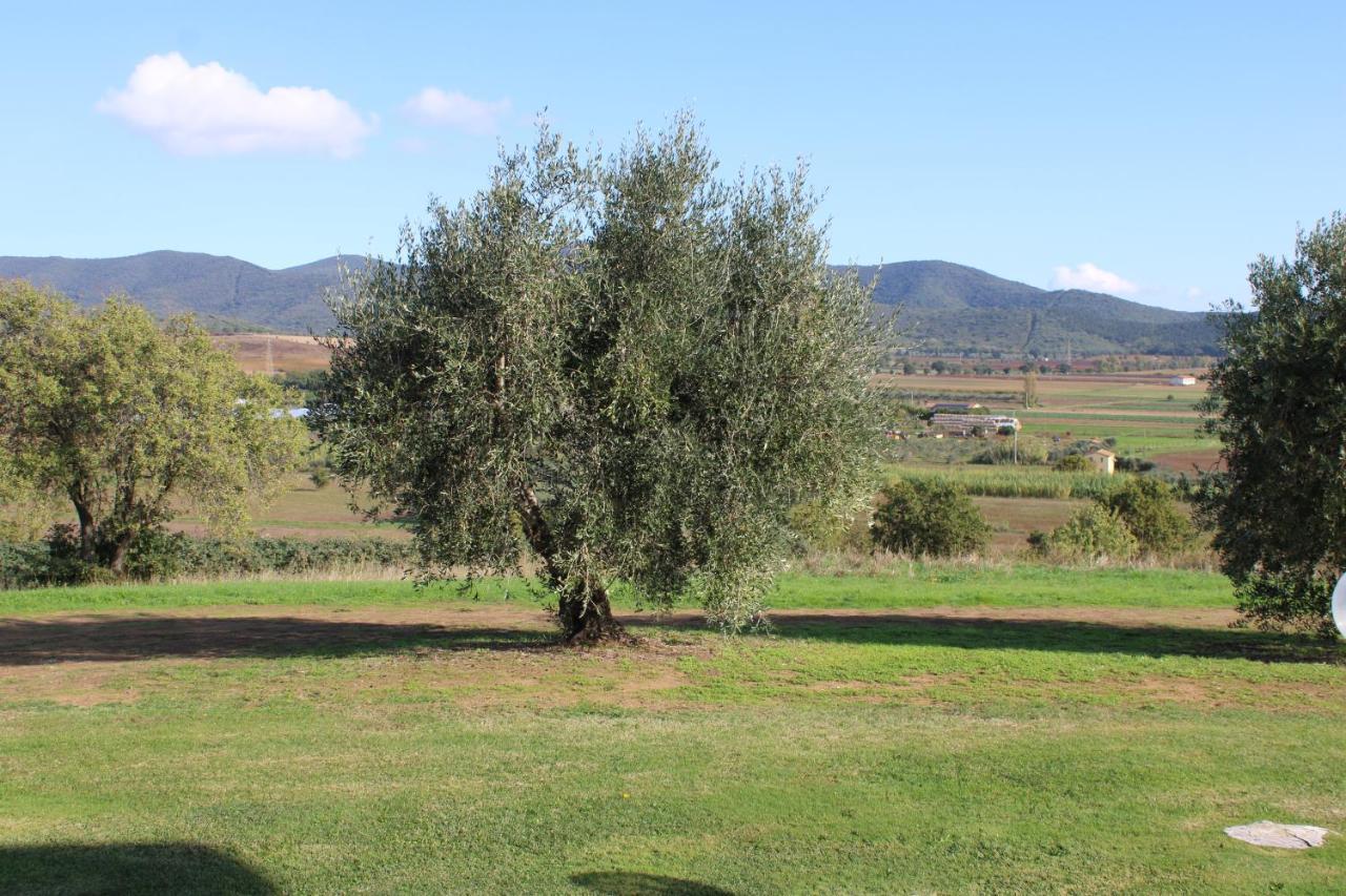 Agriturismo Il Montoto Villa Castiglione della Pescaia Exteriör bild